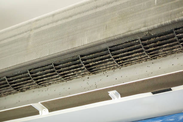 Best Home Air Vent Cleaning  in Nags Head, NC